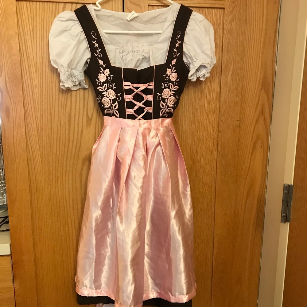 Authentic brown and pink Oktoberfest dirndl!